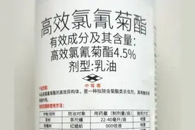 氯氰菊酯还有两个“兄弟”，效果比它强太多，治虫时可以考虑图片