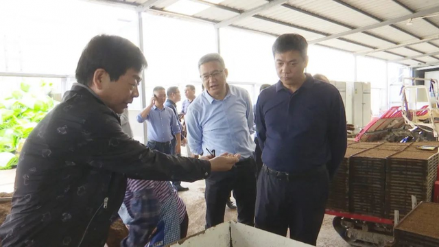 福建云霄:县长调研涉粮领域工作