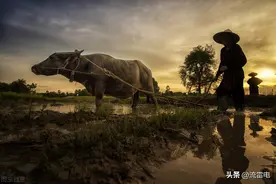 农民养老金能统一吗？60岁300元，65岁500元，70岁800元？图片