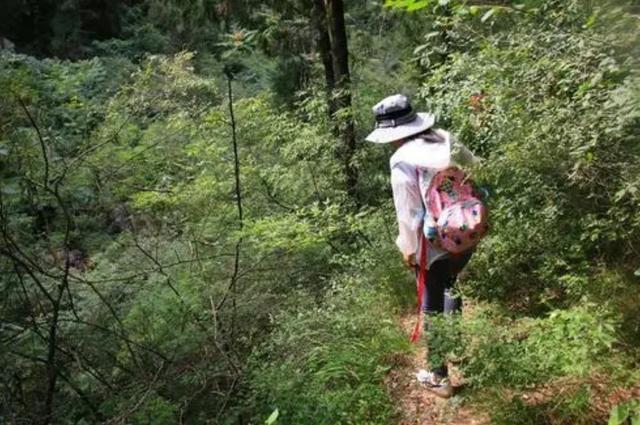 “梦境”破案找到真凶：男子被害托梦给亲姐，随后警方找到埋尸处