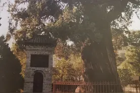 中华抗日风云录（十七）西安事变和全国一致抗日图片