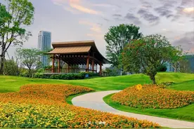 仙境！我宣布这是深圳最美的公园之一，南山值得N刷的海边公园图片