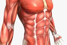 “腹肌”对中老年人的重要作用，还跟免疫力有关，三个方法锻炼图片