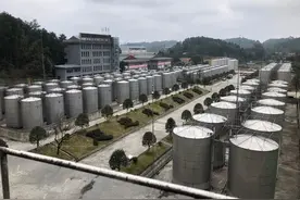 既然陶坛更好，为什么酒厂用不锈钢酒罐装酒？图片