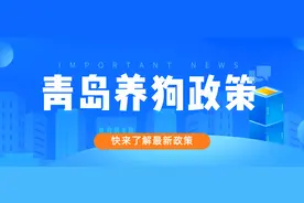 青岛养狗的人注意了，每家只能养一只狗，不铲狗屎罚一千！图片