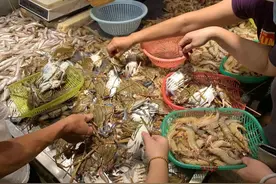 开海后，别只会吃大虾和螃蟹，这几种海鲜好吃还不贵，建议了解图片