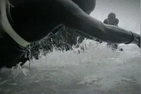 确认过眼神，是我不敢吃（吃不起）的鬼手图片