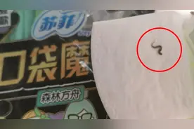 卫生巾被曝有虫子尸体，苏菲官方：寻找消费者做检测，如是质量问题会退换或补偿图片