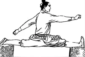 武术的秘密——真正的内家腿功练法是无价的图片