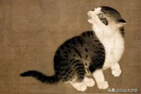 青海地区的“猫鬼神”，到底是什么神，为何被不少家庭世代供奉图片