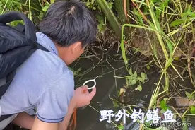 鳝鱼能长多大？广东男子“打野”捉到巨型鳝鱼，比胳膊还粗图片