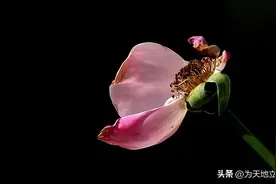 一声叹息：人文学科的底气何处寻？图片