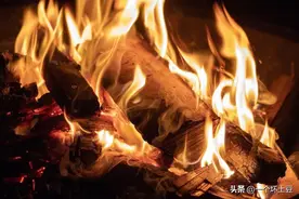 德国巨变，拜登后院失火图片