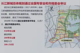 武汉长江新区，除了武湖和阳逻，北面的几个地方会有发展吗？图片