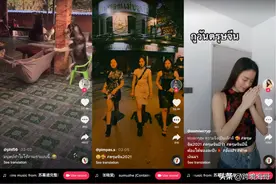 揭秘东南亚电商运营底层逻辑，一路长虹！图片