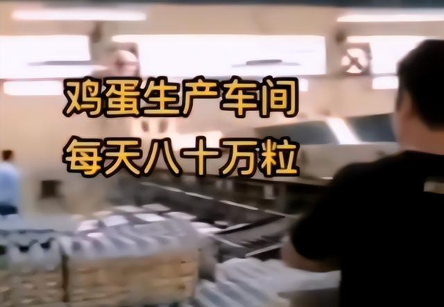 激素鸡蛋危害大，不仅有毒还致癌？提醒：5种鸡蛋尽量少吃或不吃