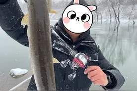 水滴轮该如何选？路亚入坑一年，花了五万，买了17个路亚轮对比图片