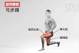 徒手练腿，这个动作你一定不要错过：弓步蹲图片