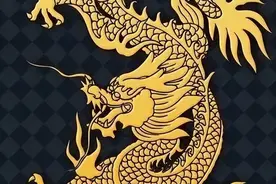 龙：一种未明的动物图片
