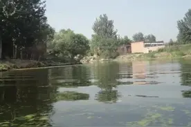 品读庄子齐物论之十一图片