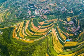 平凉故事 文明之旅 | 庄浪：中国第一个梯田化模范县图片