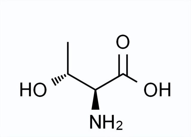 人体8种必需氨基酸的简单记忆法+赖氨酸详解