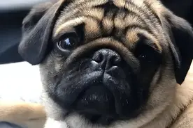 天津最新放假通知！附多个高校放假安排！图片