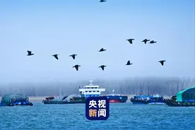 跟着总书记看中国丨新时代“长江之歌”图片