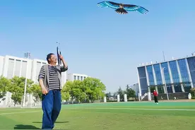 痴迷风筝十多年 制作的风筝“骗”过鹞 他是株洲盘鹰“第一人”图片