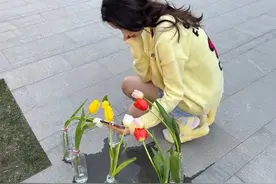 被明星和他们的怨种摄影师笑到！网友吐槽：又心疼又好笑哈哈哈哈图片
