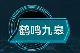 每天学个成语:鹤鸣九皋图片