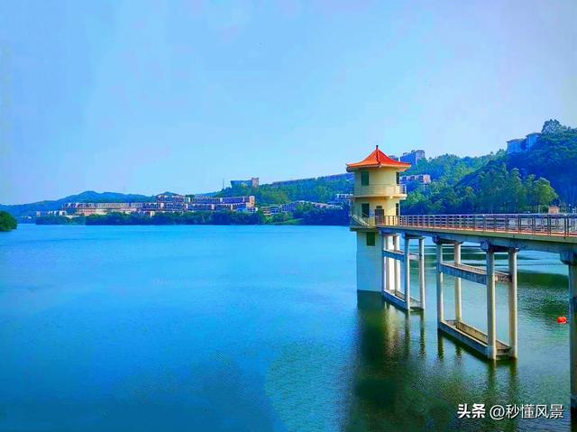 广州原始森林大氧吧，地铁直达适合避暑遛娃拍照，知道的人不多！