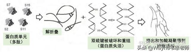 鏌愬ぇ鐗屾皑鍩洪吀鑲屽簳琛ｅ埌搴曟槸榛戠鎶€杩樻槸鏅哄晢绋庯紵浣犱腑鎷涗簡鍚楋紵