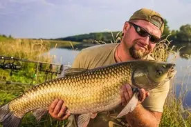 农村池塘的草鱼一定要吃草吗，不吃草能不能生长？图片