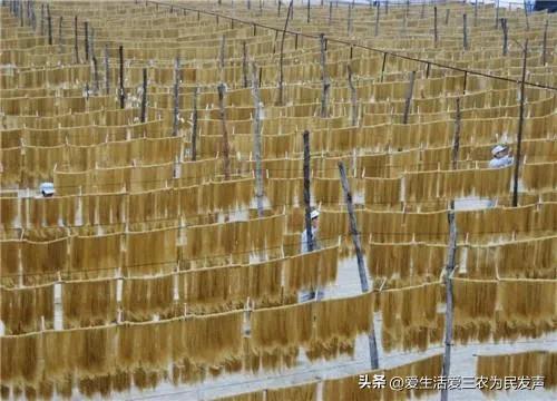 Ͷ�ʲ�������ʮ�����ϵ�ũ�崴ҵ��Ŀ����Щ��