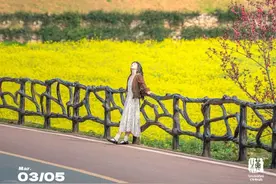 本周末，武汉这些景区免门票！图片