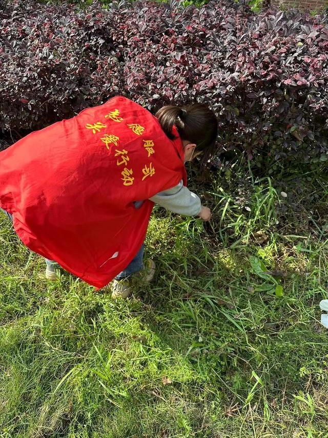 东湖新技术开发区豹澥街分类专班黄金堂社区开展清洁家园活动