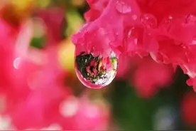话“风气”图片