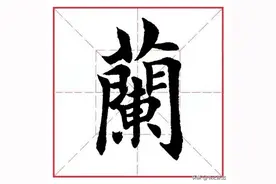 每日一字282：兰图片
