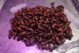 大涨！150元/斤！正大量上市图片
