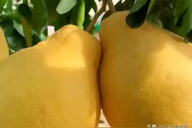 唯有美食不可辜负，你家乡特产有什么？图片