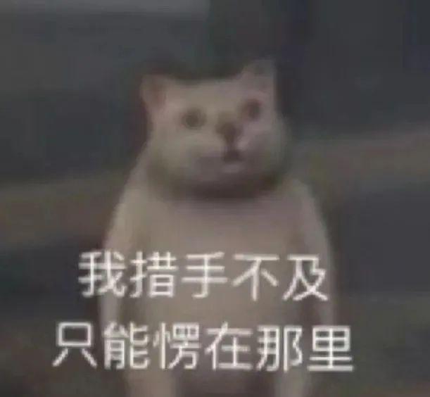凭结婚证可查配偶结婚的建议，挺好