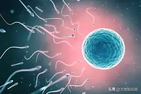 进入女性体内后，没“受精”成功的精子都去哪儿了？既好笑又心疼图片