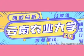 「择校助手」云南农业大学院校分析图片