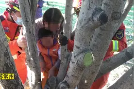 五岁男童腿卡树，小奶猫被困铁笼……看消防员暖心解救图片