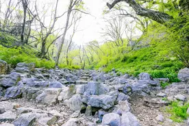 相约安徽·向春而行丨这片山野村落，私藏了萧县大半个春天！图片