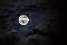 狗为什么总在空无一人的夜里狂叫？它看到了什么？图片