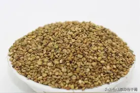 科普：辛香料石落子的用途，能不能替代小茴香，附带灌肠做法配方图片