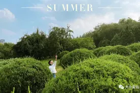 这些适合夏天遛娃的免费公园就在身边！江南水乡、日系森林全都有图片