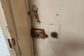 指纹锁有那么多的优点，但还是有一部分人没装，罪魁祸首就是它们图片